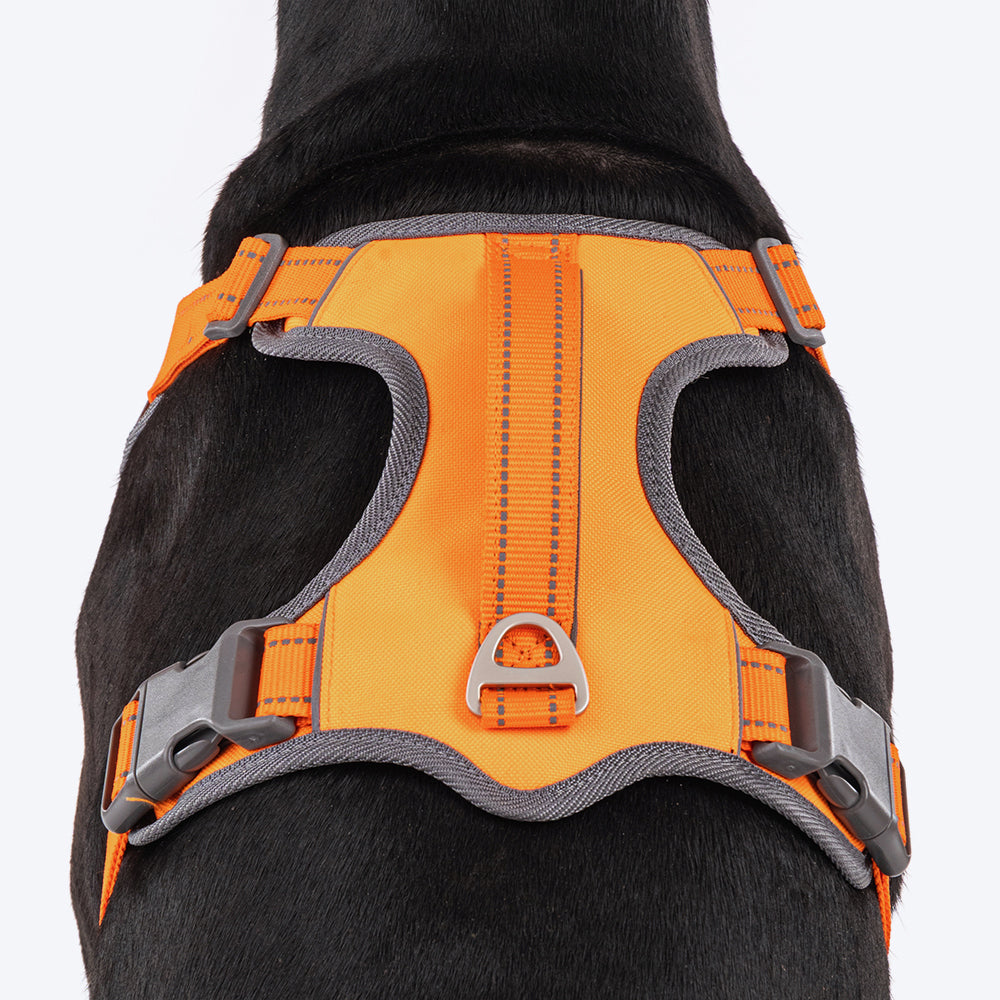 HUFT Active Pet Dog Harness - Orange_07