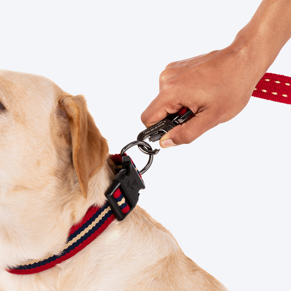 HUFT Retro Vibes Dog Collar - Maroon & Navy - Heads Up For Tails