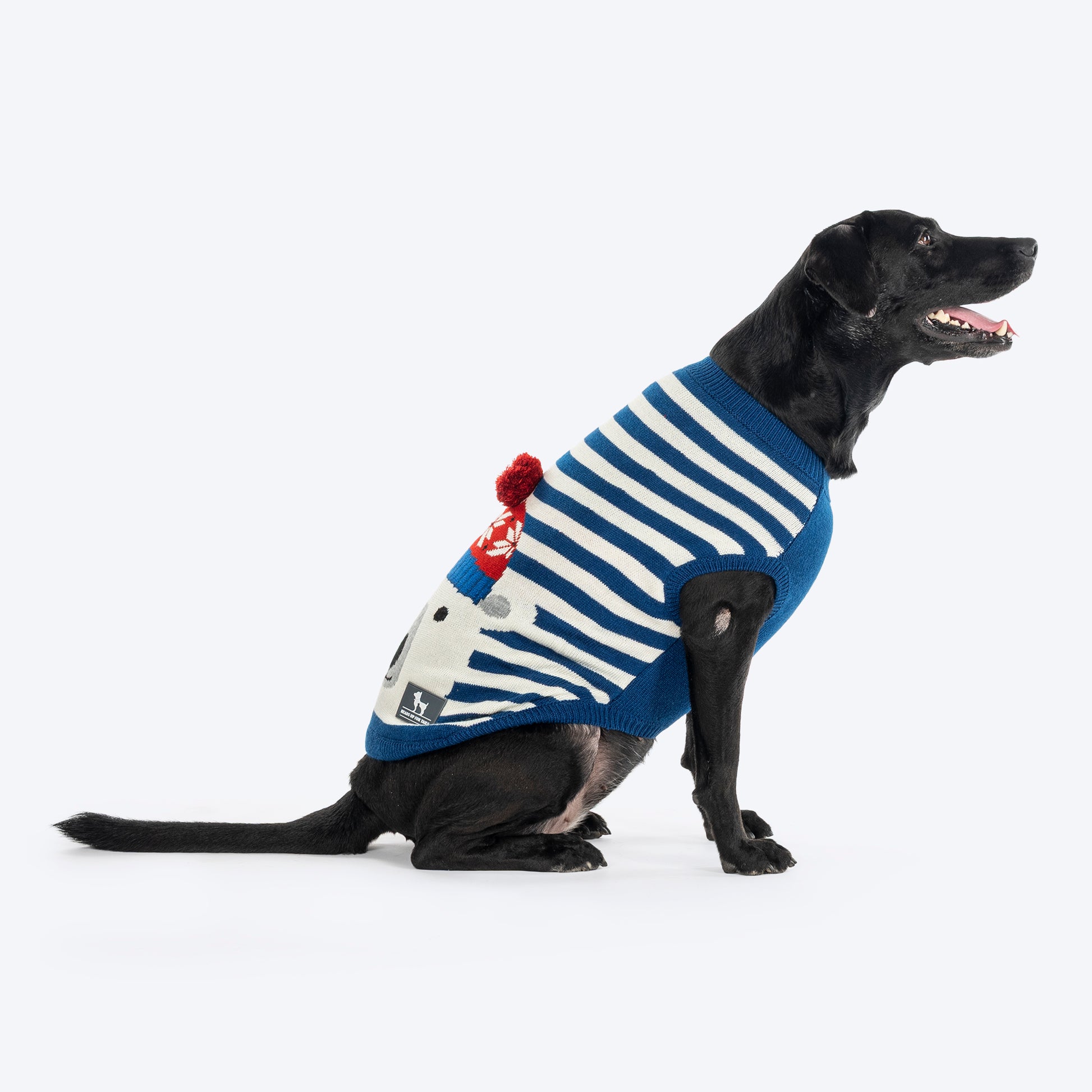 HUFT Polar Bear Striped Sweater For Dog - Multicolor - Heads Up For Tails