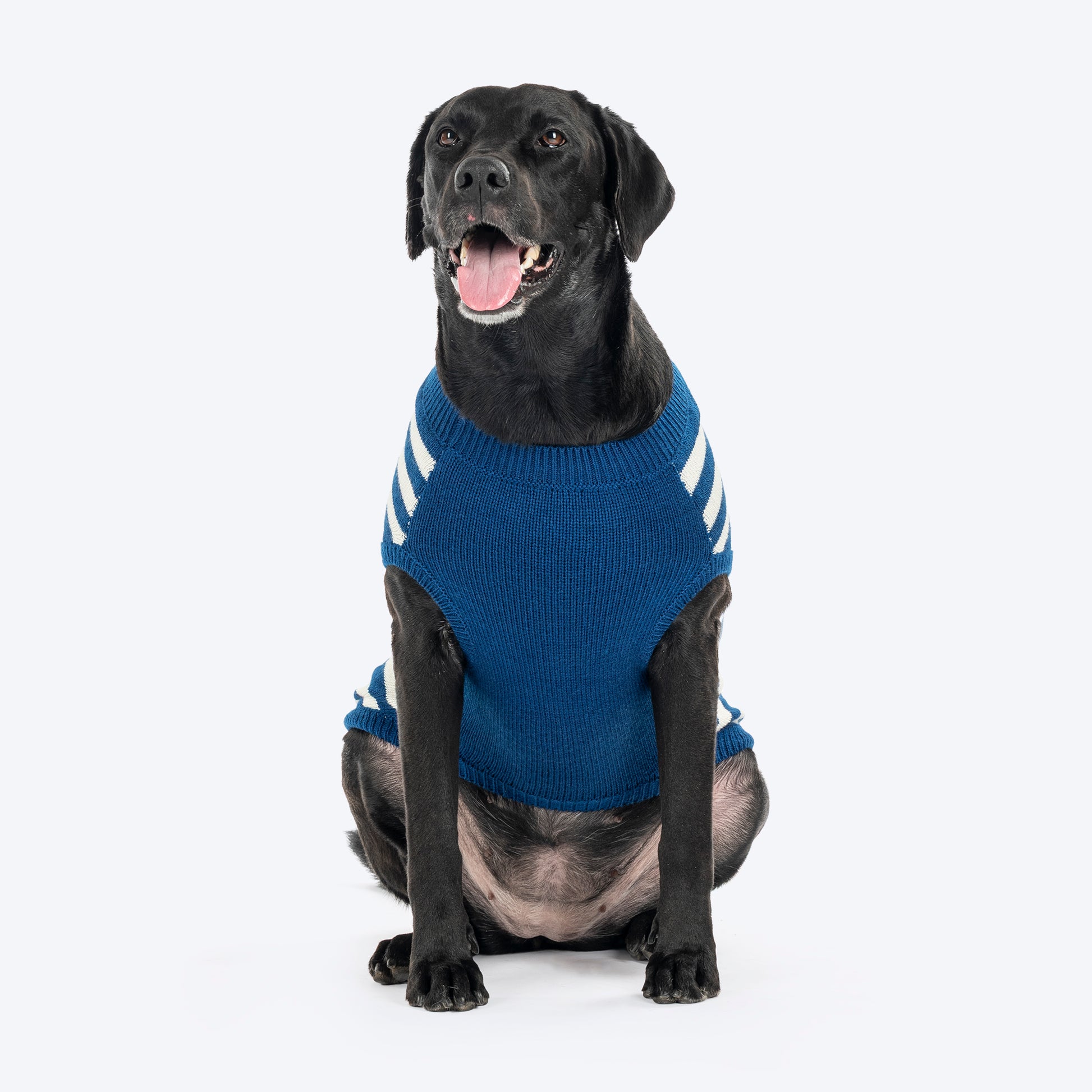 HUFT Polar Bear Striped Sweater For Dog - Multicolor - Heads Up For Tails