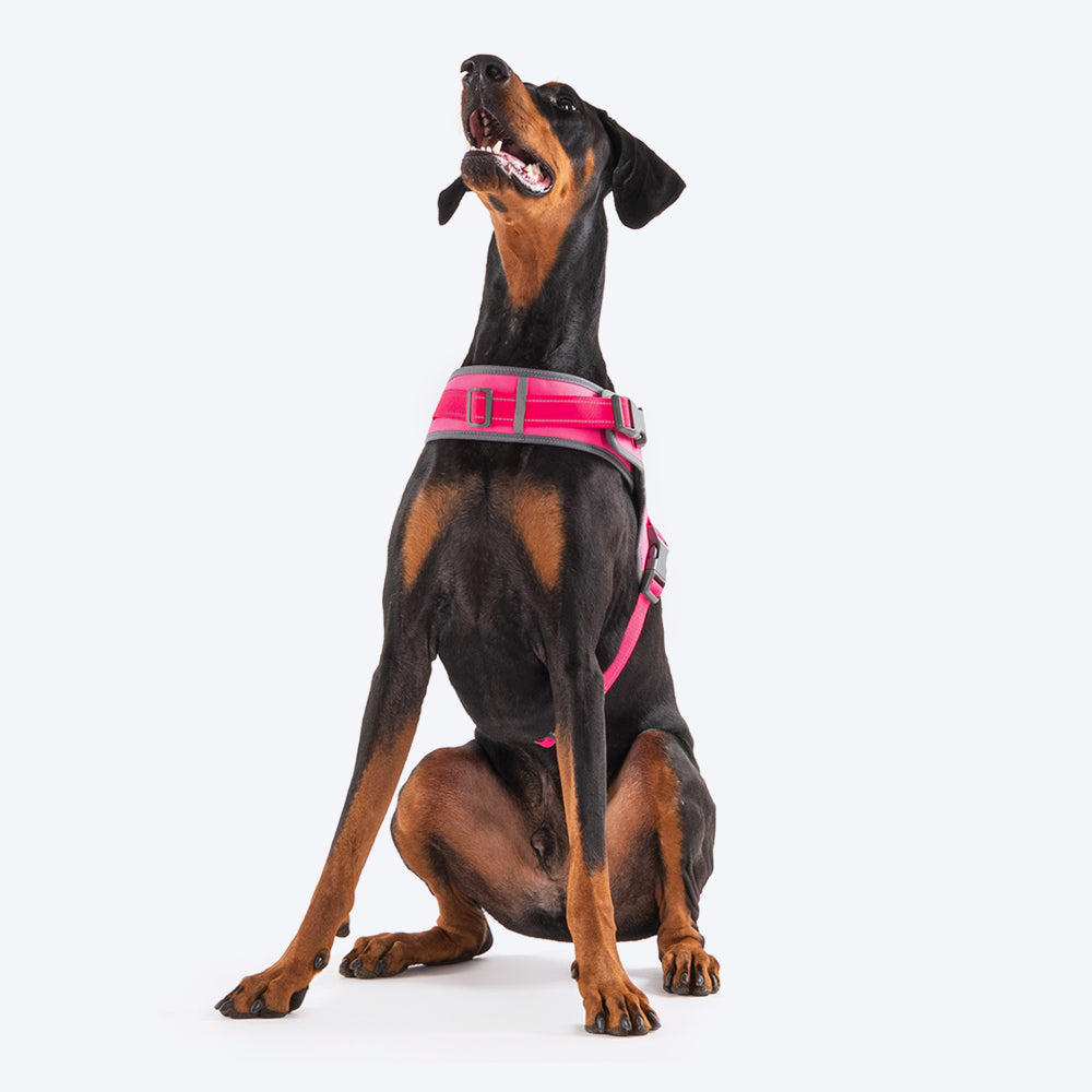 HUFT Easy On Dog Harness - Pink - Heads Up For Tails