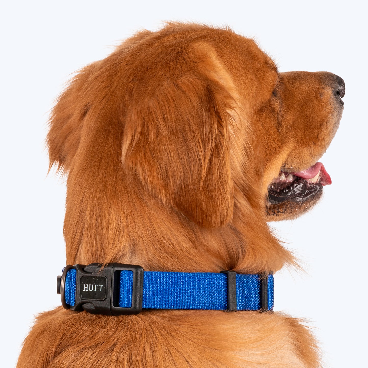 HUFT Basics Dog Collar - Cobalt Blue - Heads Up For Tails