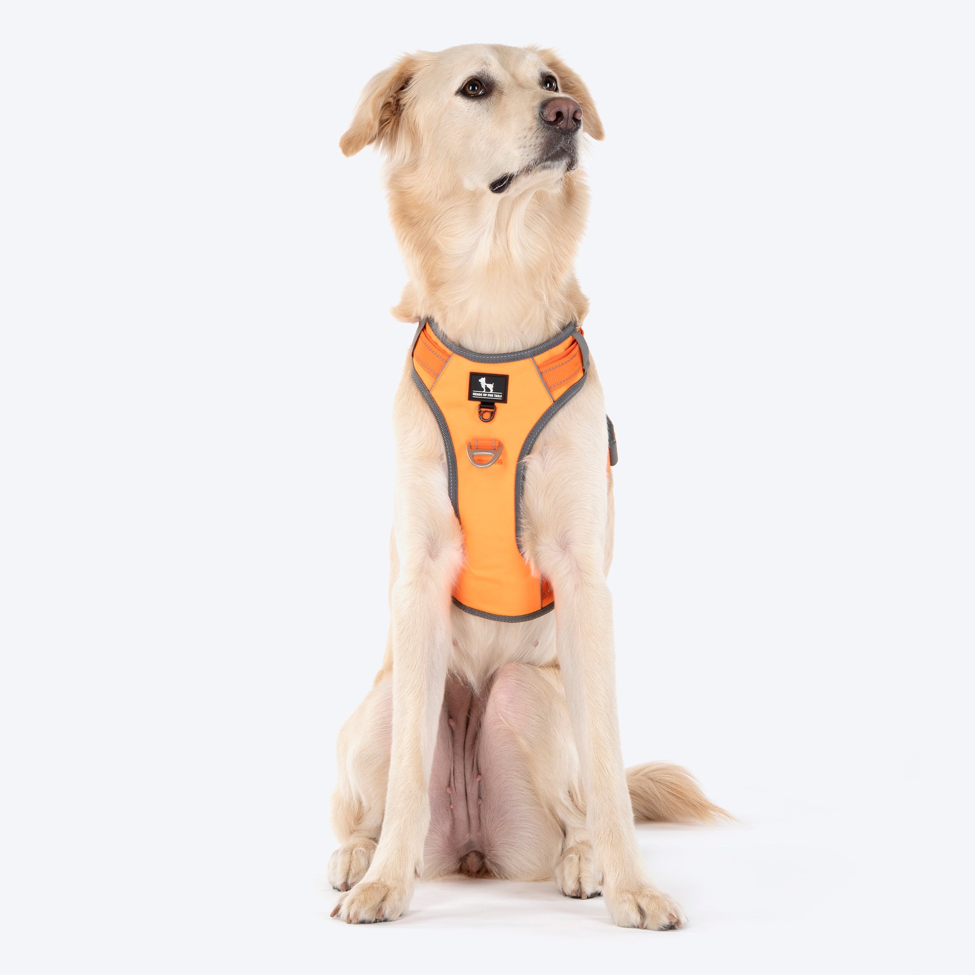 HUFT Active Pet Dog Harness - Orange_06