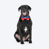 HUFT Royal Rang Bow Tie For Dog - Red & Blue - Heads Up For Tails