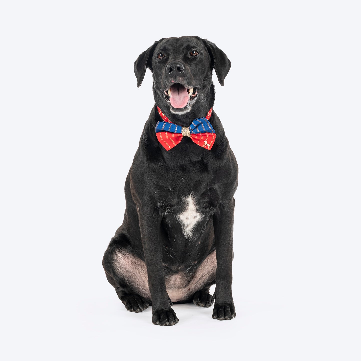 HUFT Royal Rang Bow Tie For Dog - Red & Blue - Heads Up For Tails