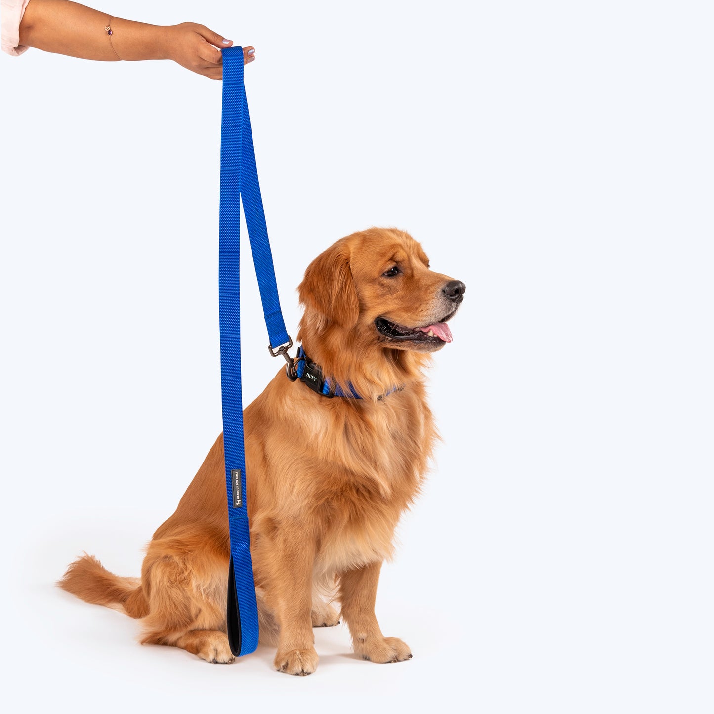HUFT Basics Dog Leash - Cobalt Blue - Heads Up For Tails