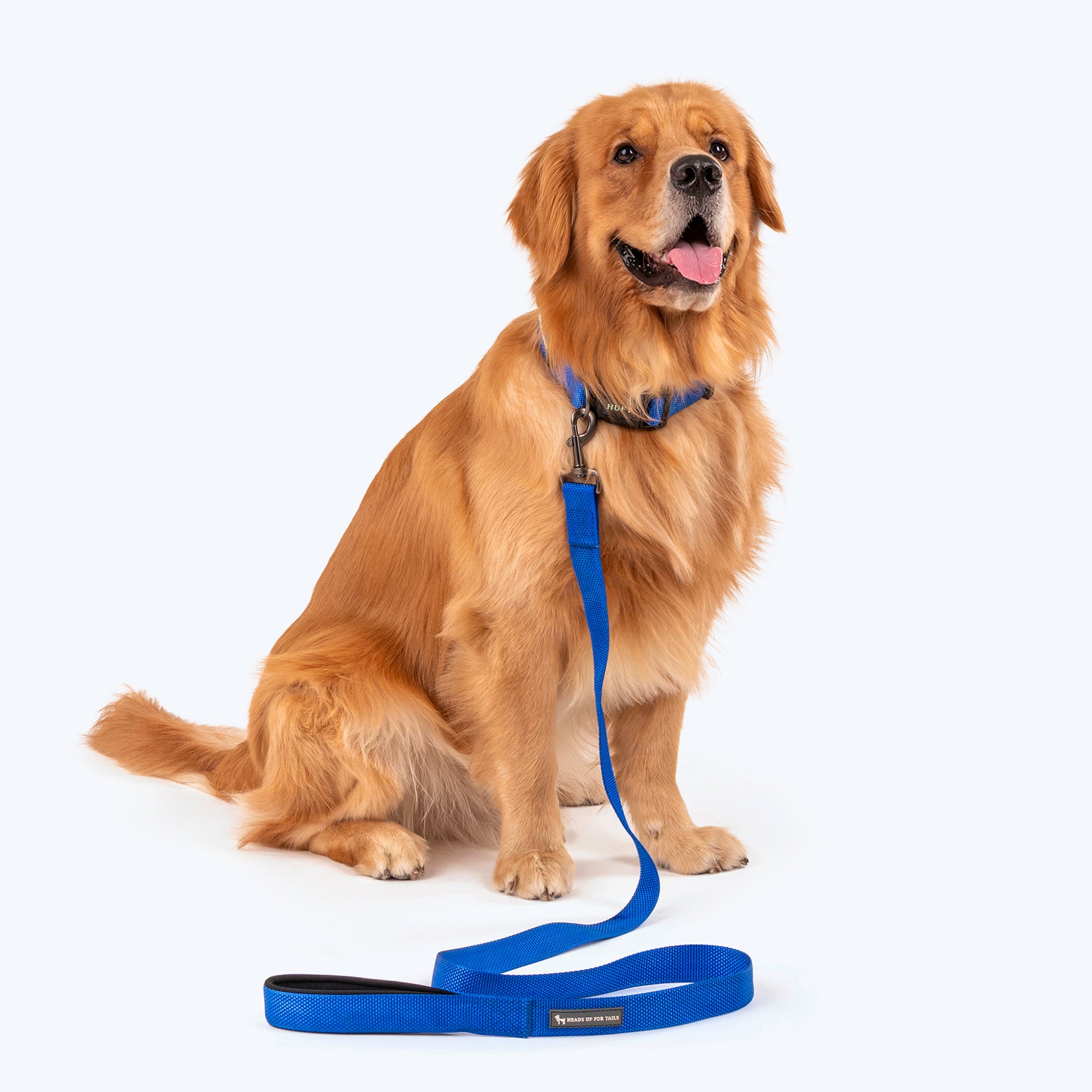 HUFT Basics Dog Collar Leash Set Cobalt Blue