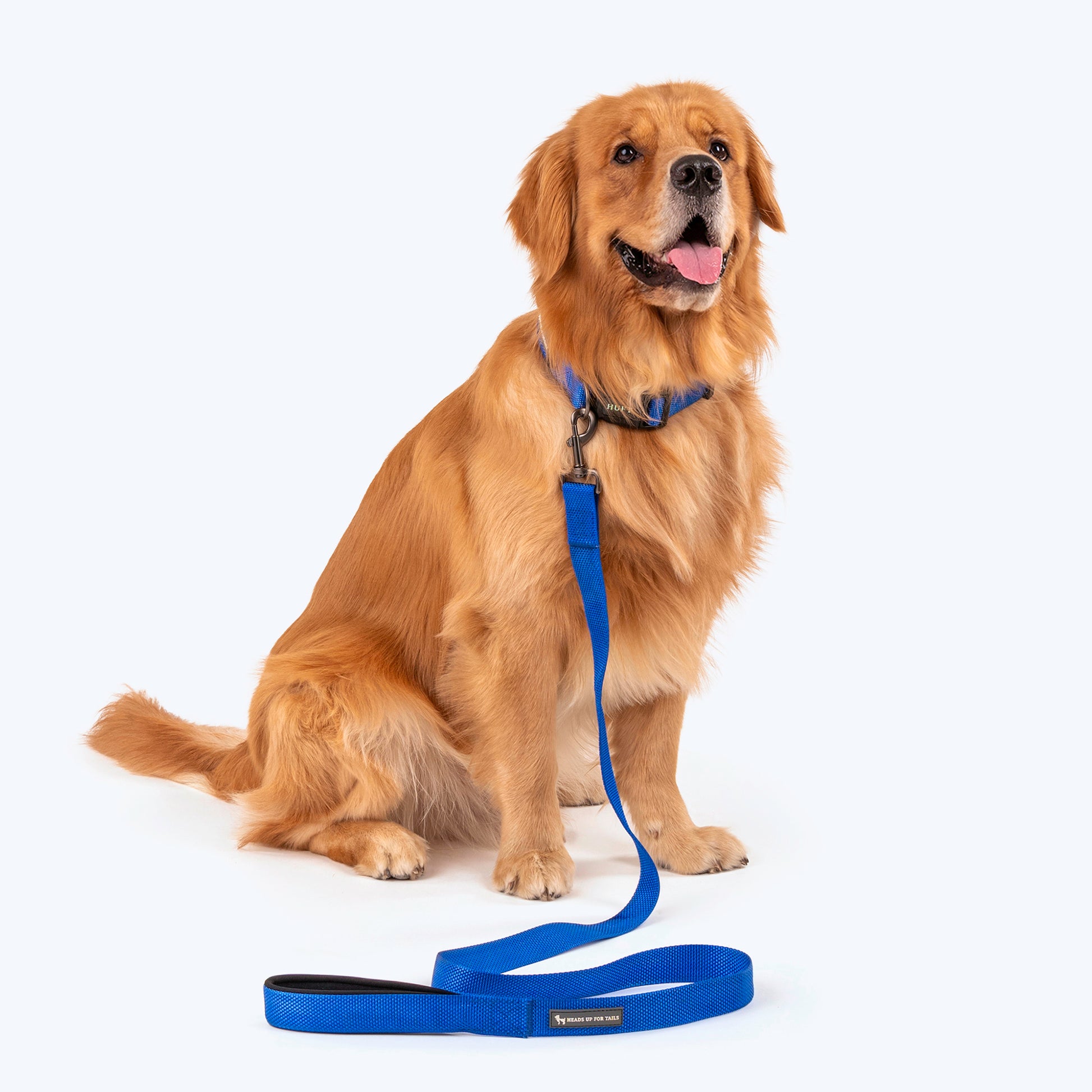 HUFT Basics Dog Collar & Leash Set - Cobalt Blue - Heads Up For Tails