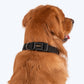 HUFT Basics Dog Collar - Classic Black - Heads Up For Tails