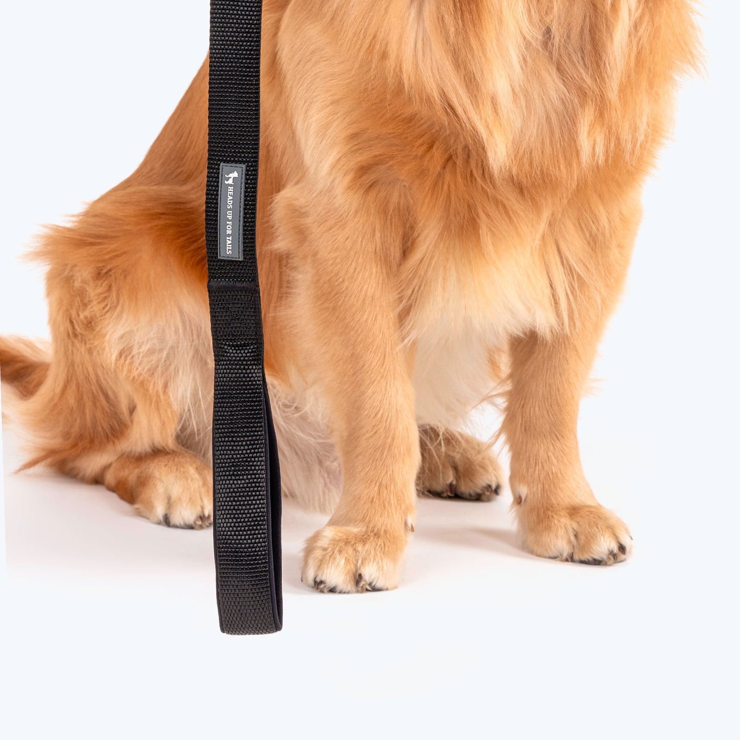 HUFT Basics Dog Leash - Classic Black - Heads Up For Tails