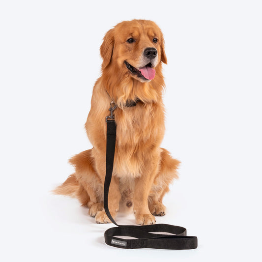HUFT Basics Dog Collar & Leash Set - Classic Black - Heads Up For Tails