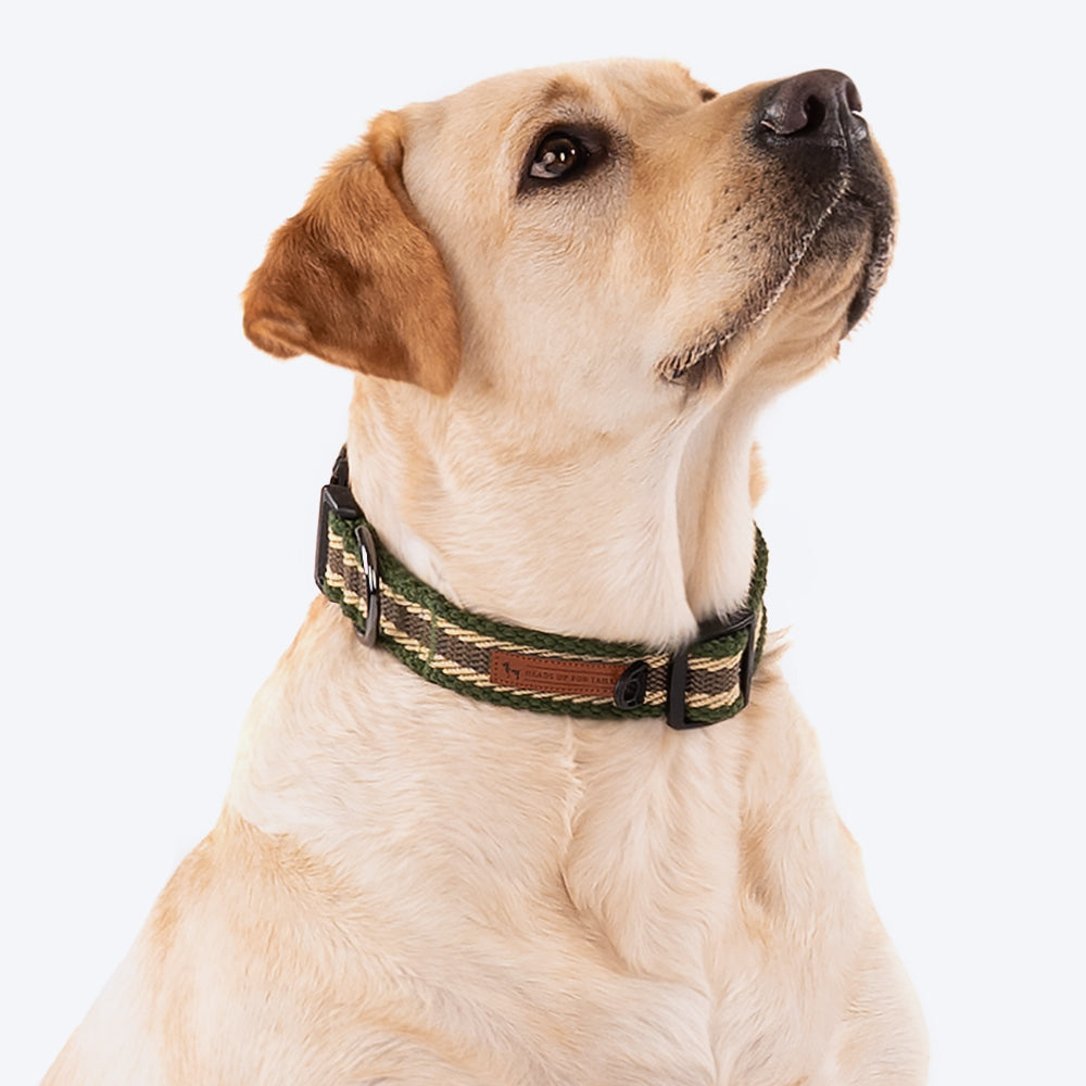HUFT Olive Odyssey Dog Collar - Olive Green & Beige - Heads Up For Tails