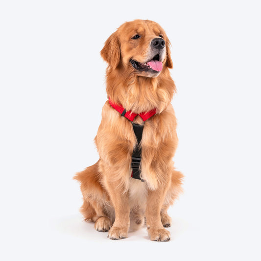 HUFT Basics Dog H-Harness - Crimson Red - Heads Up For Tails