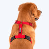 HUFT Basics Dog H-Harness - Crimson Red - Heads Up For Tails