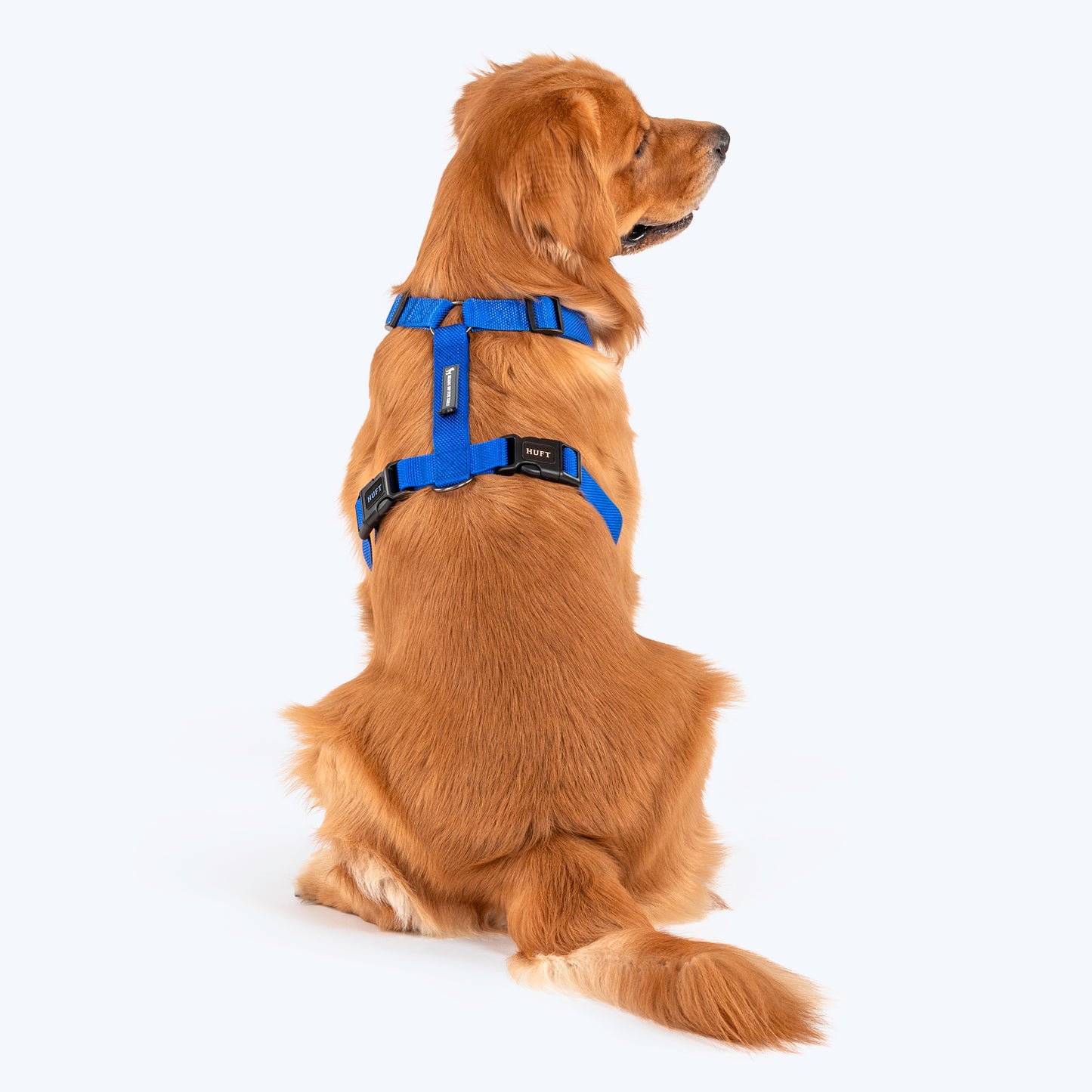 HUFT Basics Dog H-Harness - Cobalt Blue - Heads Up For Tails