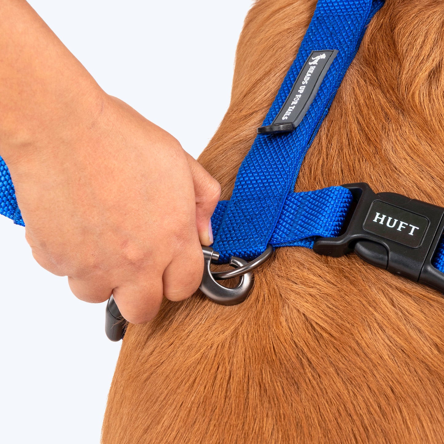 HUFT Basics Dog H-Harness & Leash Set - Cobalt Blue - Heads Up For Tails