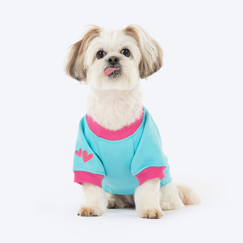 HUFT Happy Teddy Sweatshirt For Small Dog - Turquoise Blue - Heads Up For Tails