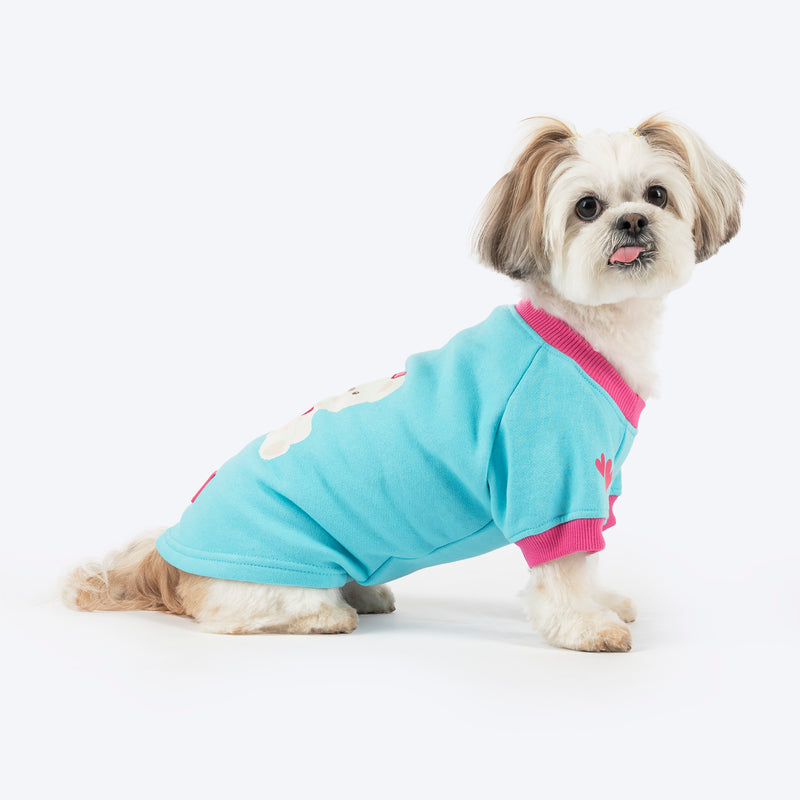 HUFT Happy Teddy Sweatshirt For Small Dog - Turquoise Blue - Heads Up For Tails