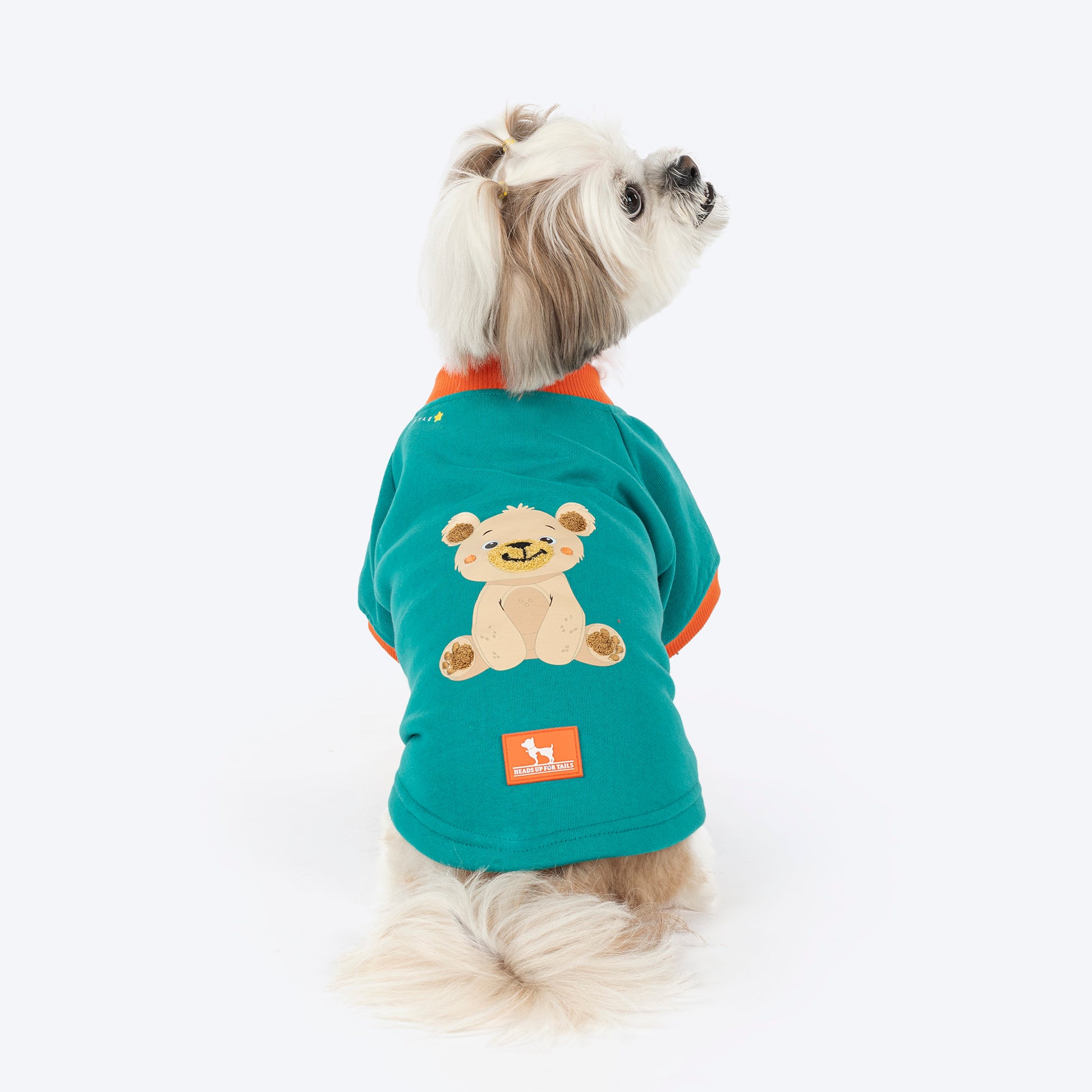 HUFT Sunny Bear Sweatshirt For Small Dog - Green - Heads Up For Tails
