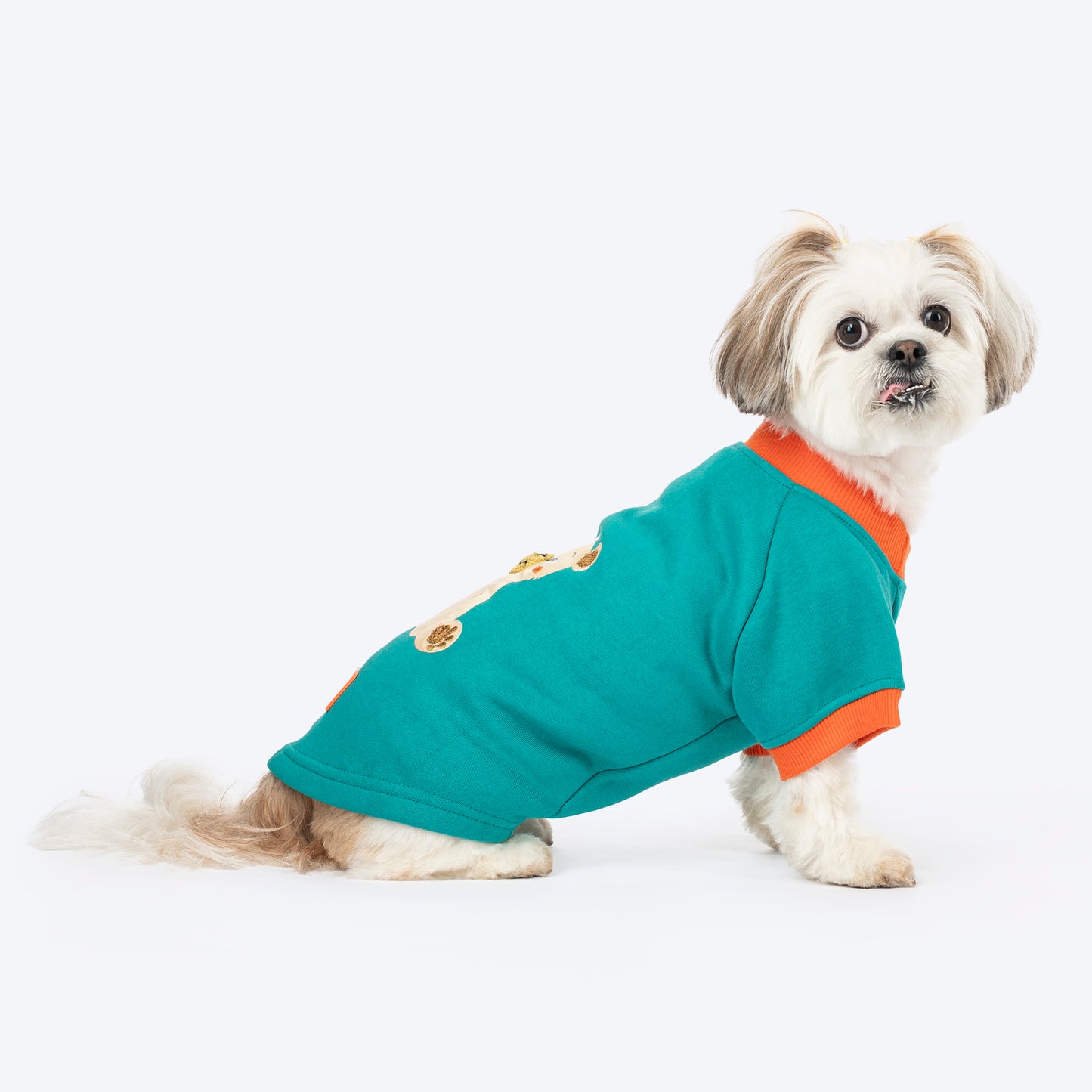 HUFT Sunny Bear Sweatshirt For Small Dog - Green - Heads Up For Tails