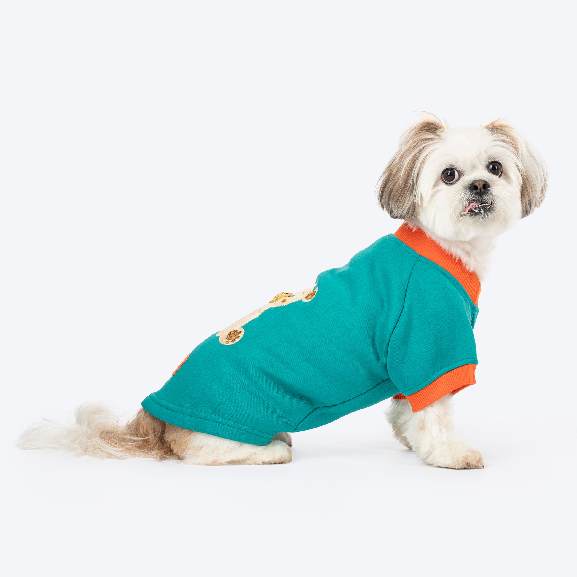 HUFT Sunny Bear Sweatshirt For Small Dog - Green - Heads Up For Tails