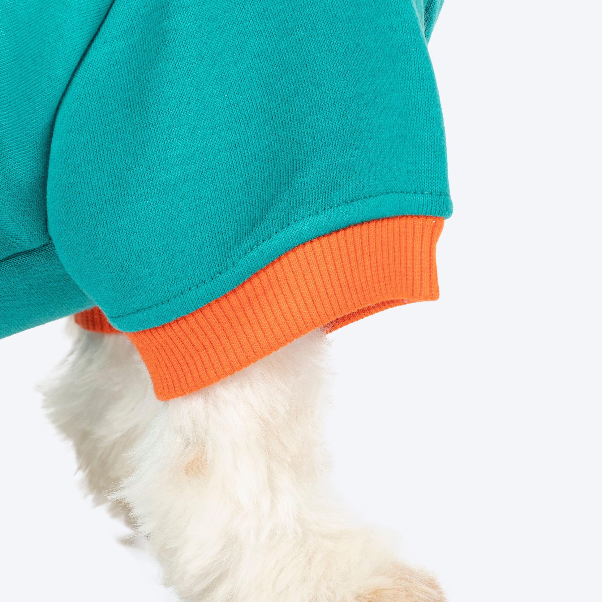 HUFT Sunny Bear Sweatshirt For Small Dog - Green - Heads Up For Tails