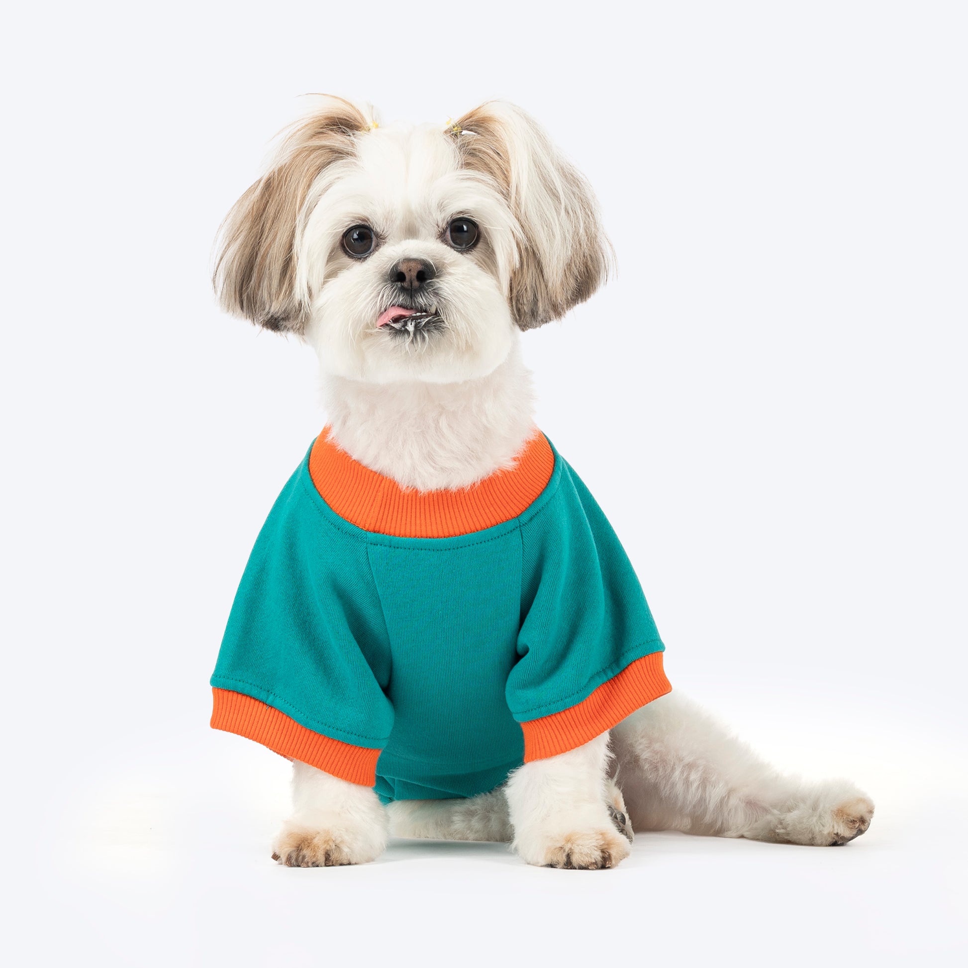 HUFT Sunny Bear Sweatshirt For Small Dog - Green - Heads Up For Tails