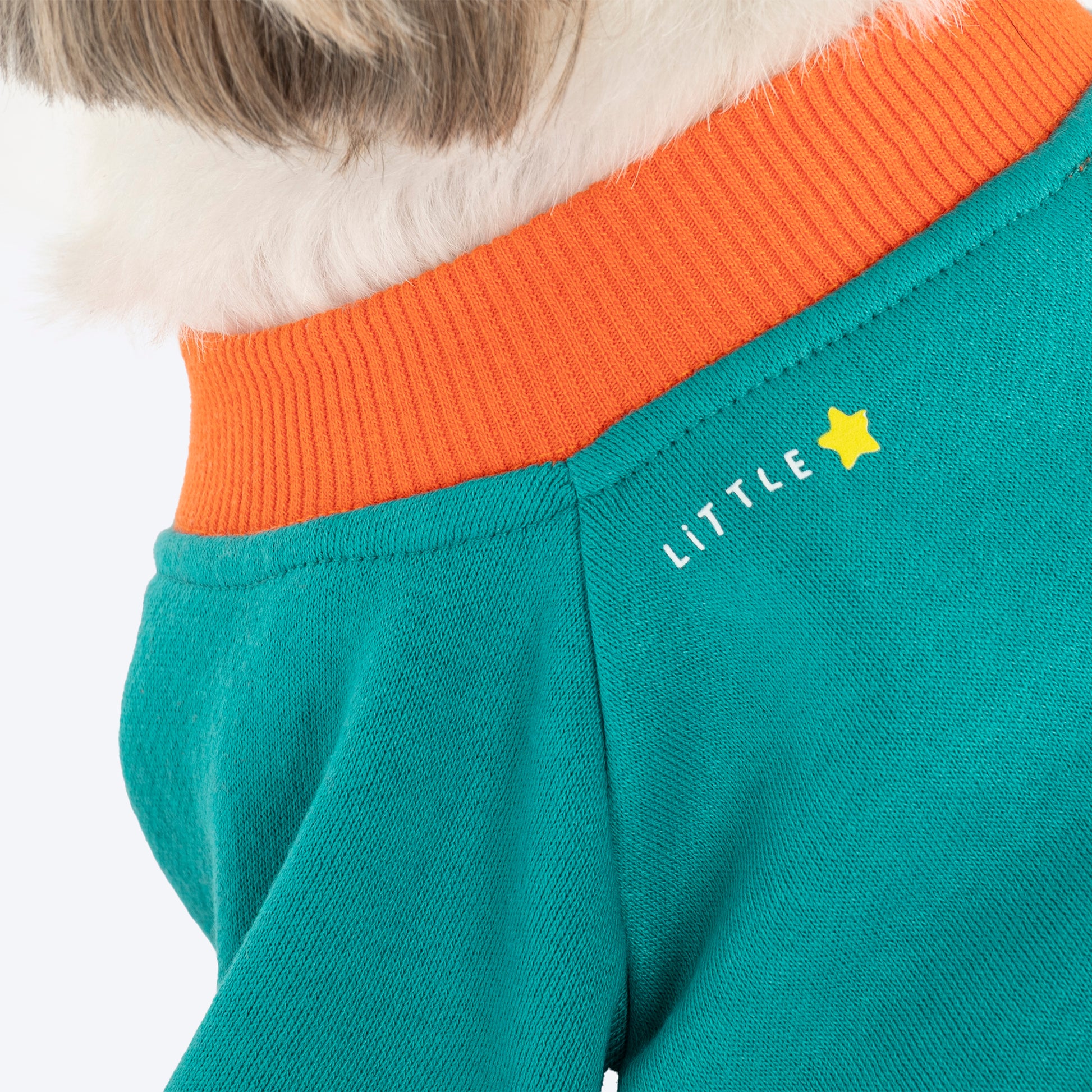 HUFT Sunny Bear Sweatshirt For Small Dog - Green - Heads Up For Tails