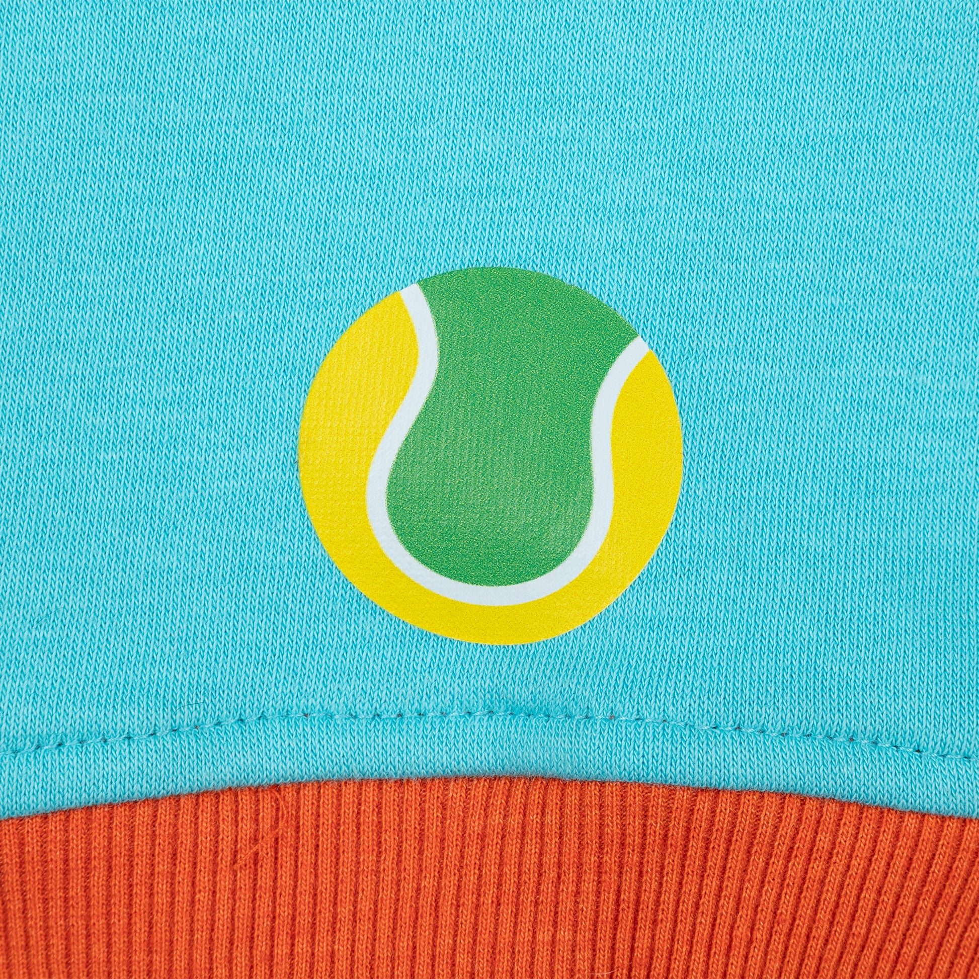 HUFT Cutest Cuddle Buddy Sweatshirt For Big Dog - Teal - Heads Up For Tails