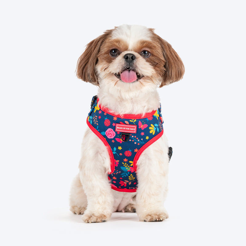 HUFT Bloomscape Adjustable Harness For Dog - Navy - Heads Up For Tails