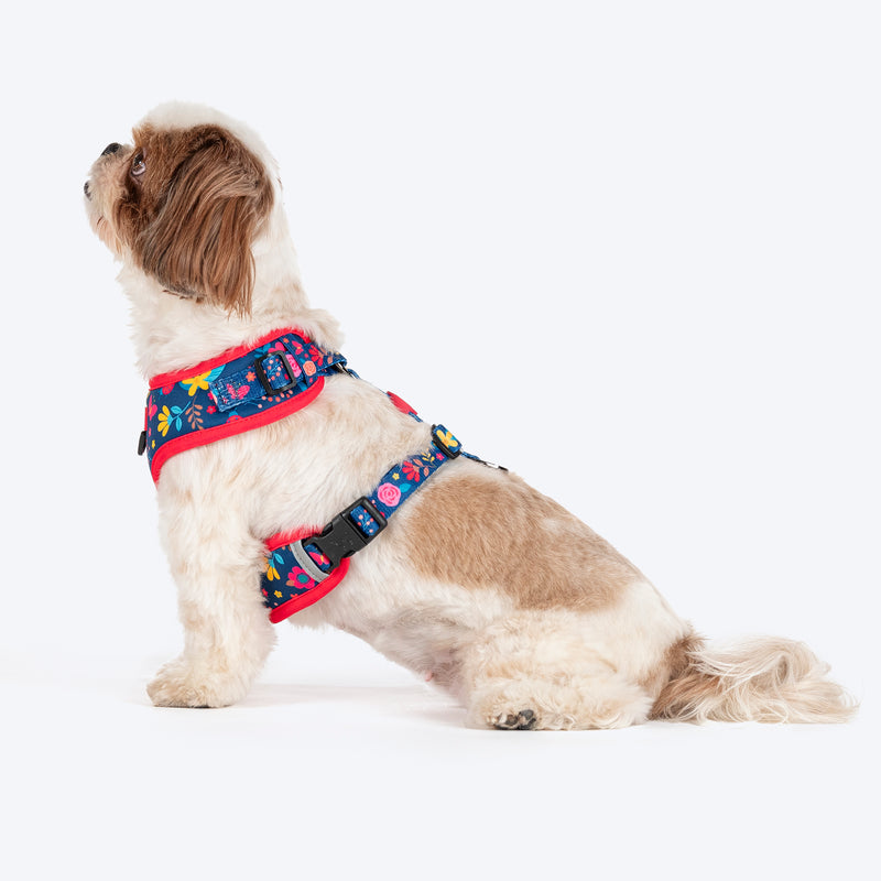 HUFT Bloomscape Adjustable Harness For Dog - Navy - Heads Up For Tails