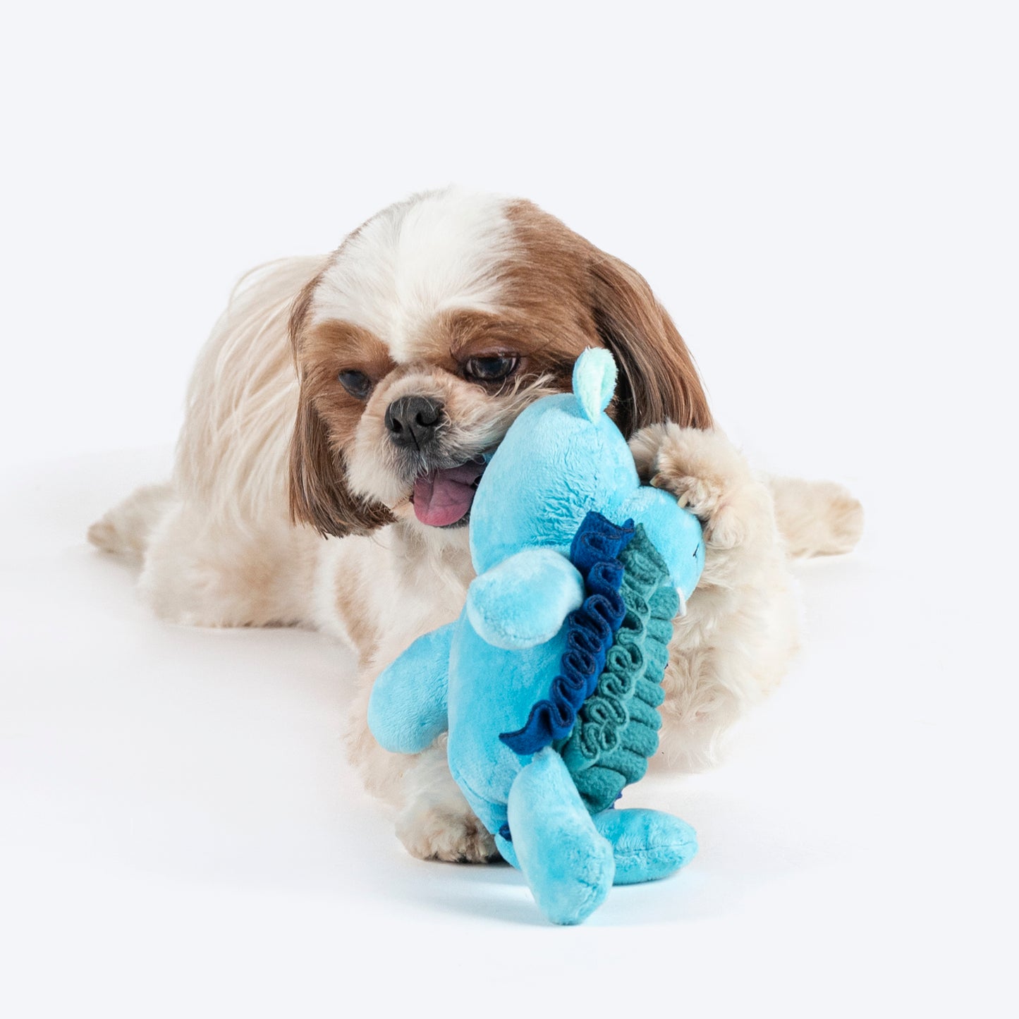 HUFT Mister Hippo Plush Toy For Dog - Multicolor - Heads Up For Tails