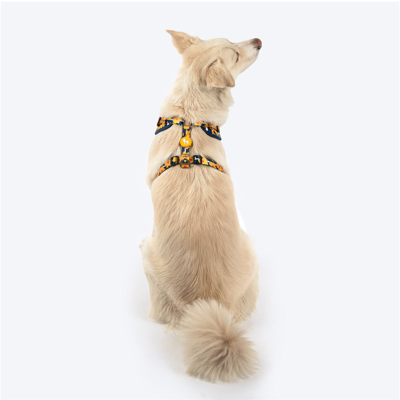 HUFT Daisy Stripes Adjustable Harness For Dog - Blue & Yellow - Heads Up For Tails