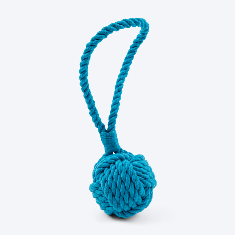 Dash Dog Twist & Tug Rope Toy For Dog - Blue_01