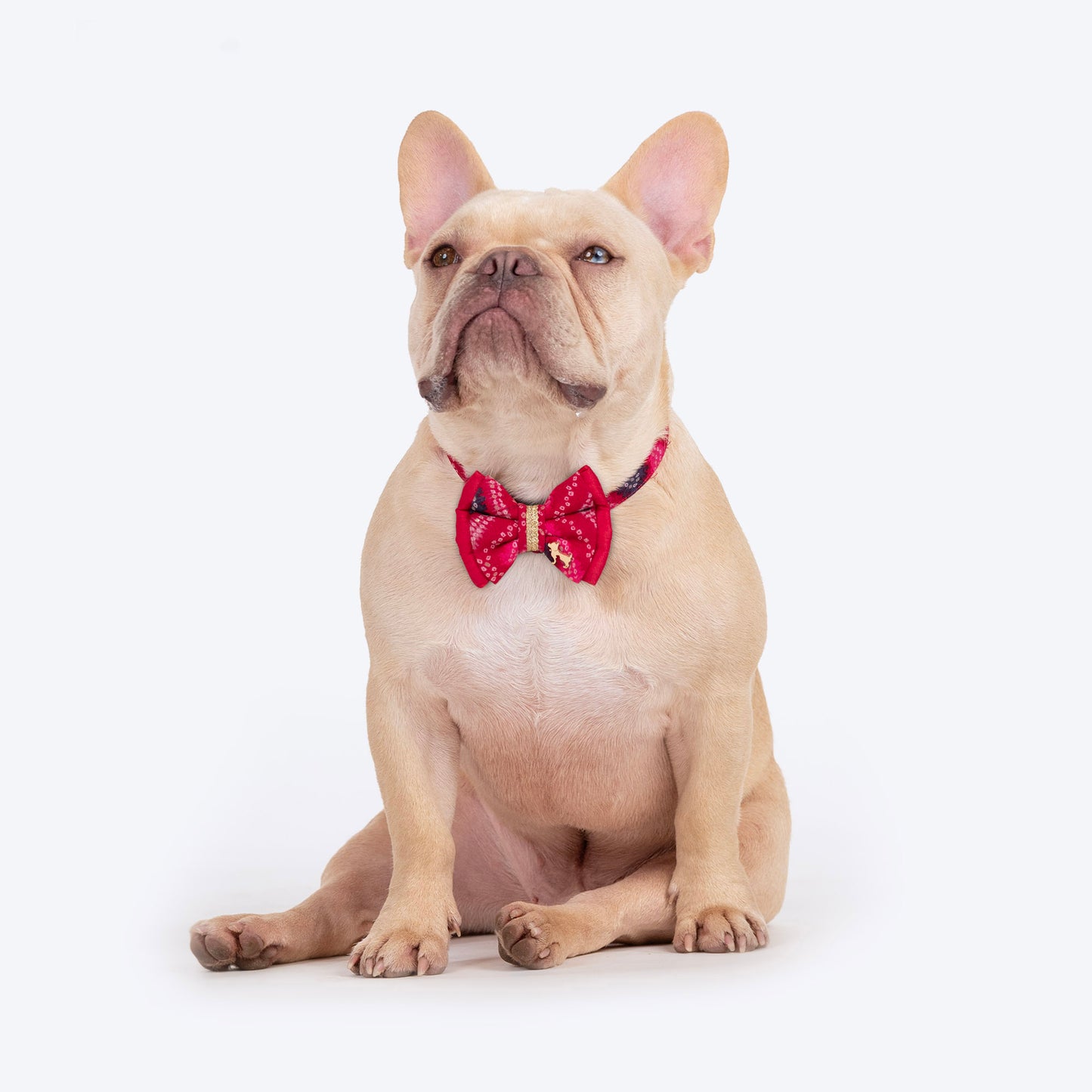 HUFT Rang Riwaz Bow Tie With Strap For Dog - Pink - Heads Up For Tails