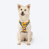 HUFT Daisy Stripes Adjustable Harness For Dog - Blue & Yellow - Heads Up For Tails