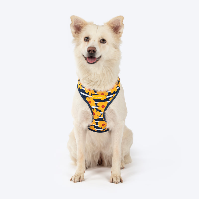 HUFT Daisy Stripes Adjustable Harness For Dog - Blue & Yellow - Heads Up For Tails