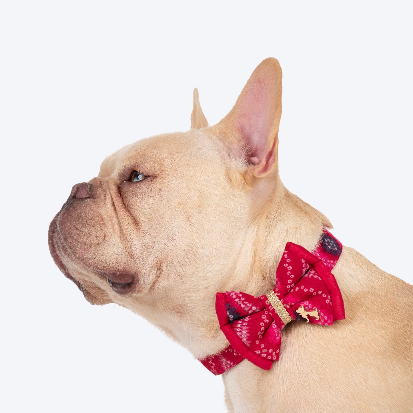 HUFT Rang Riwaz Bow Tie With Strap For Dog - Pink - Heads Up For Tails