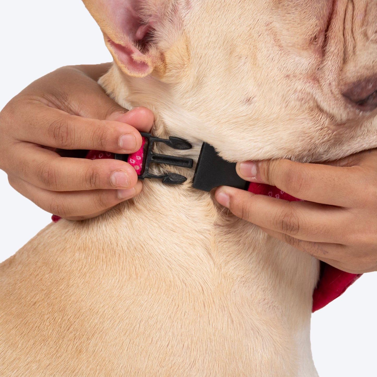 HUFT Rang Riwaz Bow Tie With Strap For Dog - Pink - Heads Up For Tails