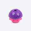 Dash Dog Spikey Snacker Chew Toy For Dog - Purple & Pink - Heads Up For Tails