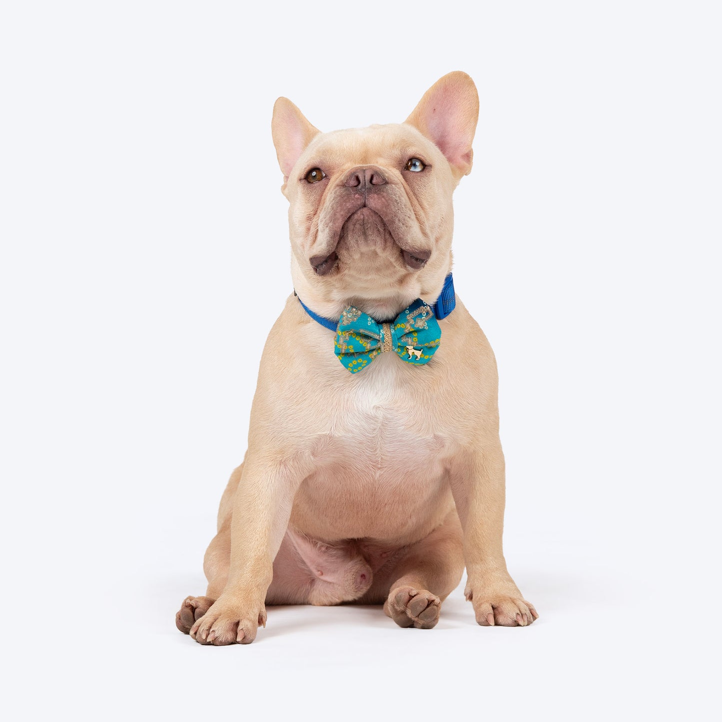 HUFT Noori Bow Tie For Dog - Blue - Heads Up For Tails