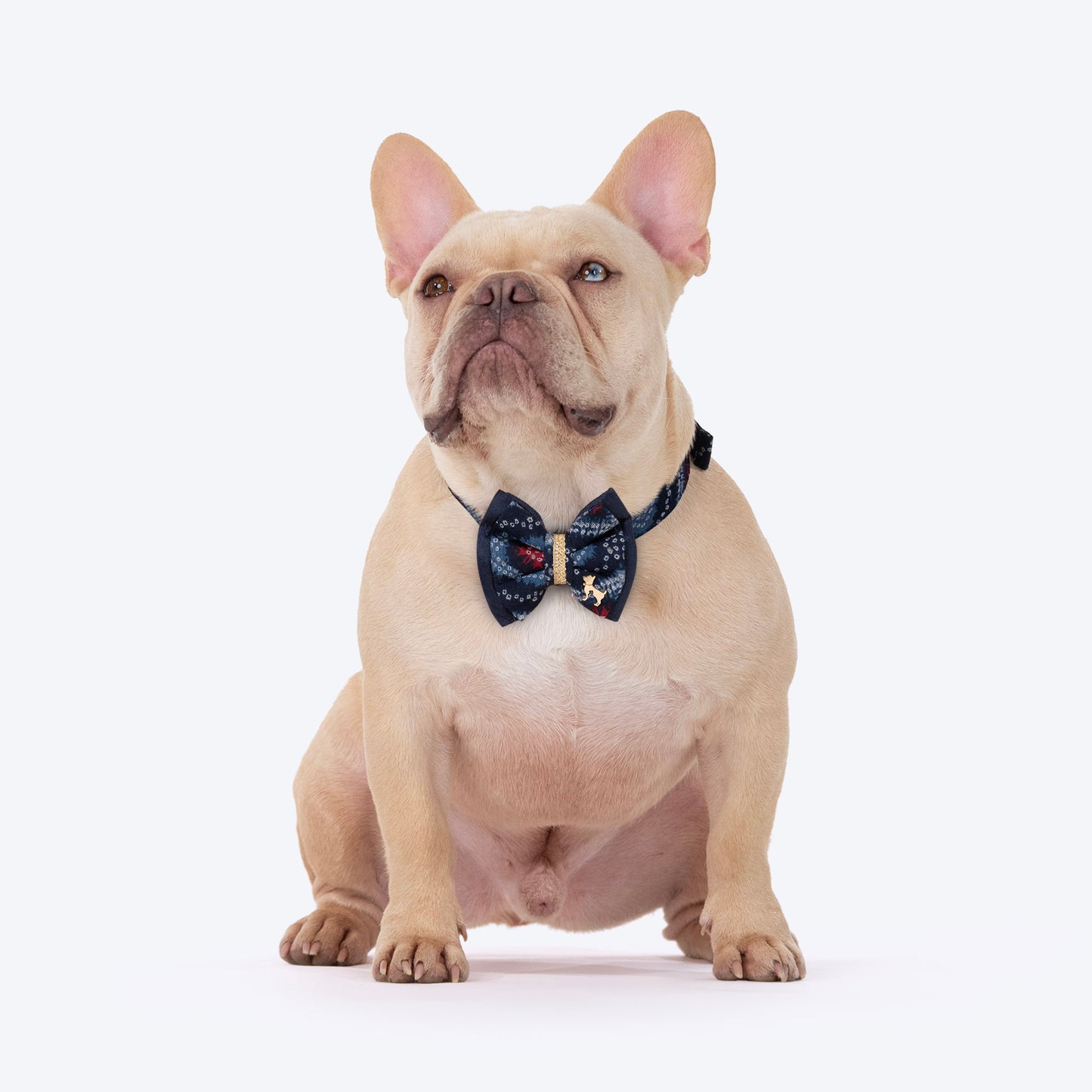 HUFT Rang Riwaz Bow Tie With Strap For Dog - Blue - Heads Up For Tails