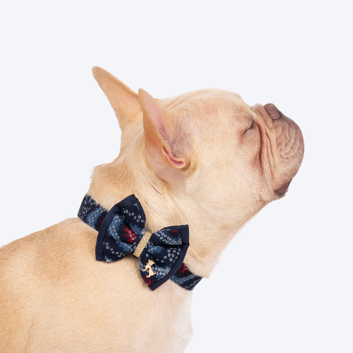 HUFT Rang Riwaz Bow Tie With Strap For Dog - Blue - Heads Up For Tails