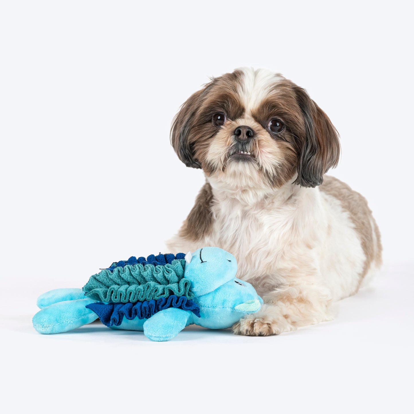 HUFT Mister Hippo Plush Toy For Dog - Multicolor - Heads Up For Tails