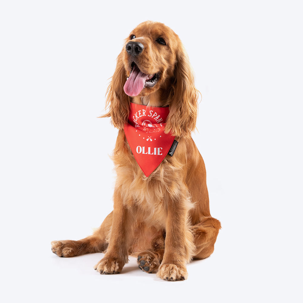HUFT Personalised Rocker Spaniel (Pet's Name) Bandana - Heads Up For Tails