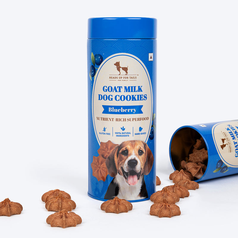 HUFT Sibling Suraksha Set - Pet Rakhi, Samosa Toy, Goat Milk Cookies - Heads Up For Tails