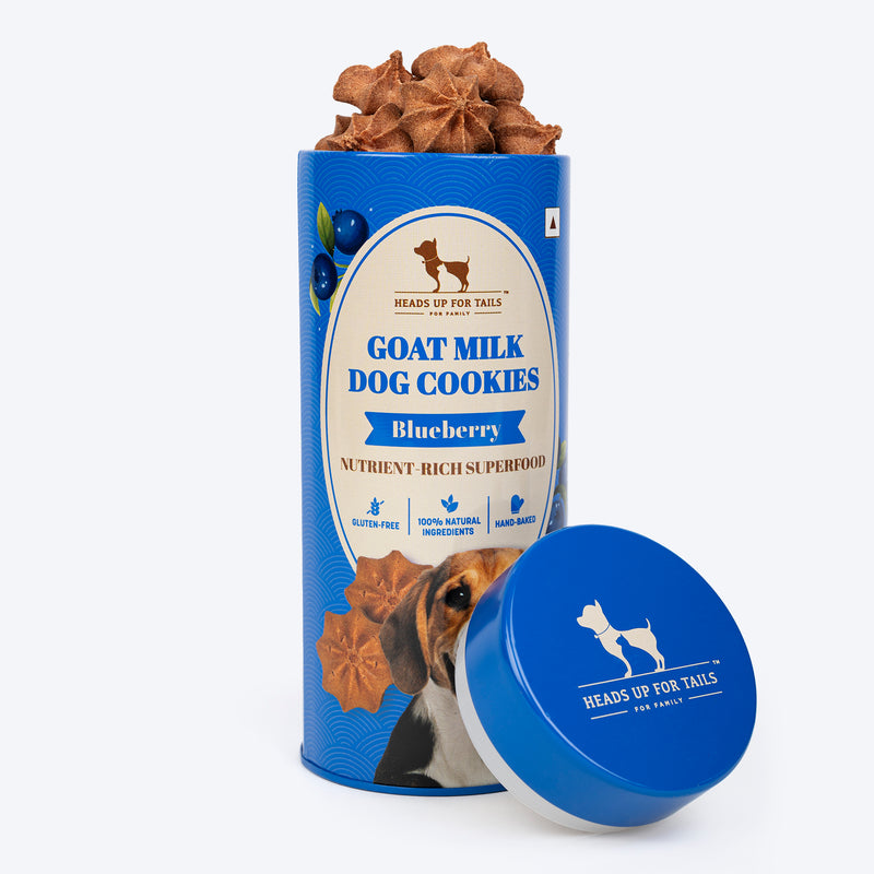 Huft Berrylicious Bundle - Blueberry Chews & Cookie Treats - Combo - Heads Up For Tails