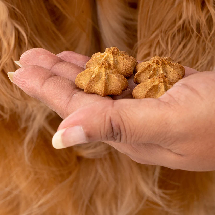 HUFT All In One Goat Milk Cookies Combo - 200g Each - Heads Up For Tails