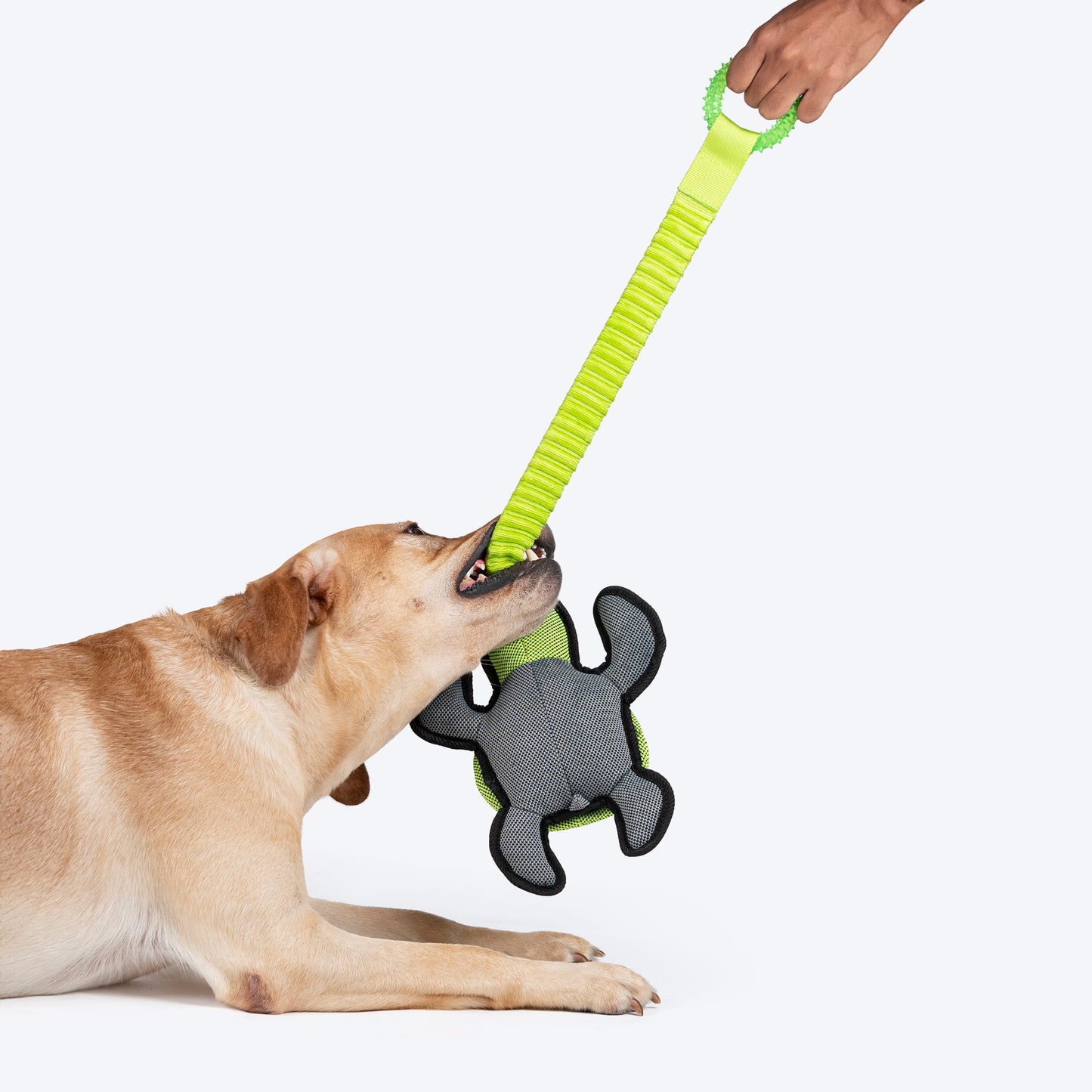 HUFT Tuff Turtle Plush Toy For Dog - Green - Heads Up For Tails