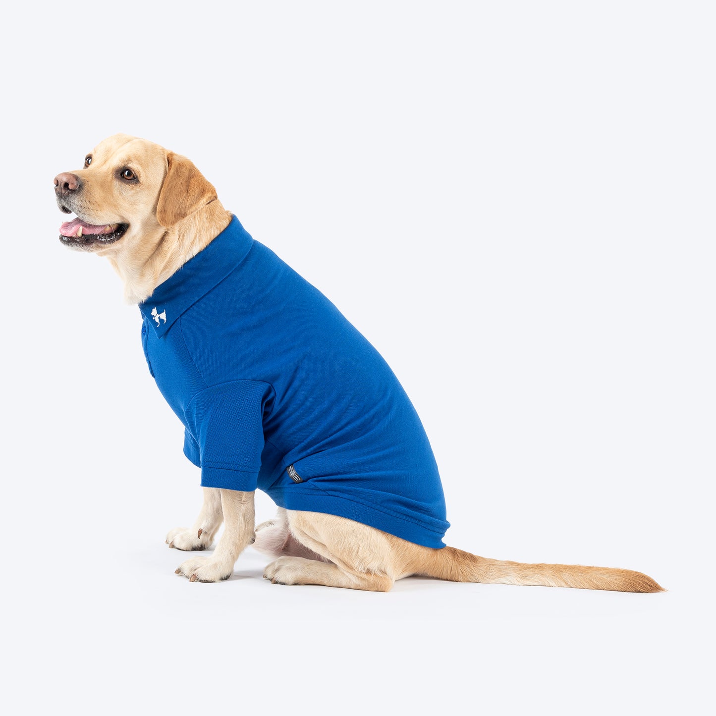 HUFT Paws Polo T-Shirt For Dog - Blue - Heads Up For Tails